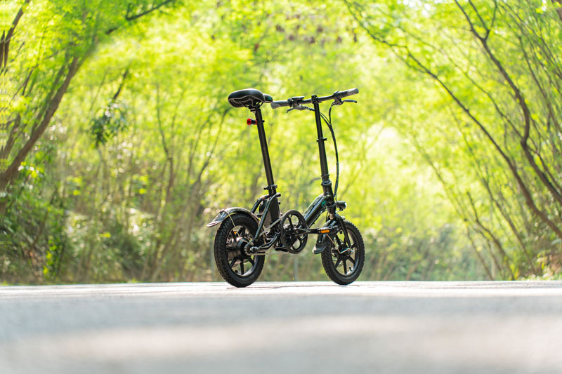 Rear oblique view of Fiido D3 Pro e-bike on concrete road in forest